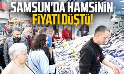 Samsun'da hamsinin fiyatı düştü!