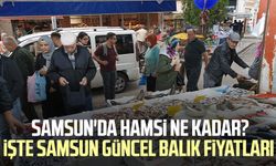 Samsun'da hamsi ne kadar? İşte Samsun güncel balık fiyatları