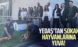 YEDAŞ'tan sokak hayvanlarına yuva!