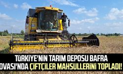 Türkiye'nin tarım deposu Bafra Ovası'nda çiftçiler mahsullerini topladı!