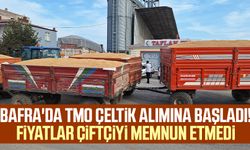 Bafra'da TMO çeltik alımına başladı! Fiyatlar çiftçiyi memnun etmedi