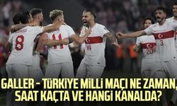 Galler - Türkiye milli maçı ne zaman, saat kaçta ve hangi kanalda?