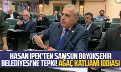 Hasan İpek'ten Samsun Büyükşehir Belediyesi'ne tepki! Ağaç katliamı iddiası