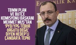 TBMM Plan ve Bütçe Komisyonu Başkanı Dr. Mehmet Muş'tan ‘PYD/YPG terör örgütü değil’ diyen HEDEP’li Çandar’a tepki