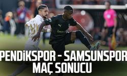 Pendikspor - Samsunspor maç sonucu