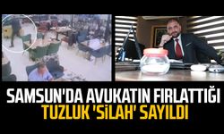 Samsun'da saldırıya uğrayan avukatın fırlattığı tuzluk 'silah' sayıldı