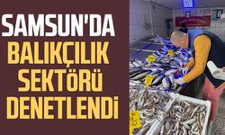 Samsun'da balıkçılık sektörü denetlendi