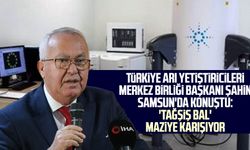 Türkiye Arı Yetiştiricileri Merkez Birliği Başkanı Ziya Şahin Samsun'da konuştu: 'Tağşiş bal' maziye karışıyor