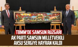TBMM'de Samsun rüzgarı: AK Parti Samsun Milletvekili Ersan Aksu sergiye hayran kaldı