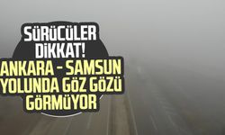 Sürücüler dikkat! Ankara - Samsun yolunda göz gözü görmüyor