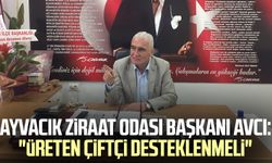 Ayvacık Ziraat Odası Başkanı Erdal Avcı: "Üreten çiftçi desteklenmeli"