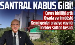 Çarşamba'da santral kabus gibi! CHP İl Başkanı Mehmet Özdağ: "Ciddi zarara yol açıyor"