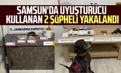 Samsun'da uyuşturucu kullanan 2 şüpheli yakalandı