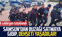 Samsun'dan buzağı satmaya gidip, dehşeti yaşadılar! 6 saldırgan tutuklandı