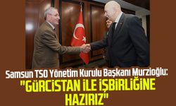 Samsun TSO Yönetim Kurulu Başkanı Murzioğlu: "Gürcistan ile işbirliğine hazırız"