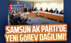 Samsun AK Parti'de yeni görev dağılımı!