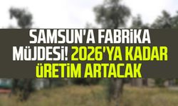 Samsun'a fabrika müjdesi! 2026'ya kadar üretim artacak 