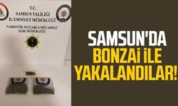 Samsun'da bonzai ile yakalandılar!