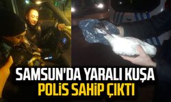 Samsun'da yaralı kuşa polis sahip çıktı