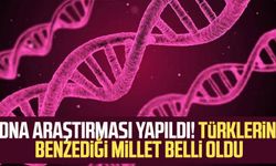 DNA araştırması yapıldı: Türklerin benzediği millet belli oldu