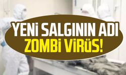 Yeni salgının adı zombi virüs!