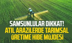 Samsunlular dikkat! Atıl arazilerde tarımsal üretime hibe müjdesi Resmi Gazete'de