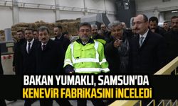 Bakan Yumaklı, Samsun'da kenevir fabrikasını inceledi