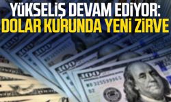 Yükseliş devam ediyor: Dolar kurunda yeni zirve
