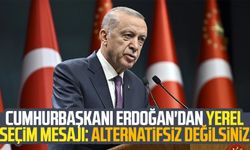Cumhurbaşkanı Erdoğan'dan yerel seçim mesajı: Alternatifsiz değilsiniz