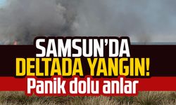 Samsun Kızılırmak Deltası Kuş Cenneti'nde yangın!