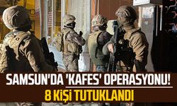 Samsun'da 'Kafes' operasyonu! 8 kişi tutuklandı