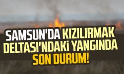 Samsun Kızılırmak Deltası Kuş Cenneti'nde yangında son durum!