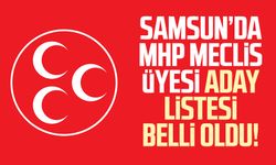 Samsun'da MHP Meclis Üyesi aday listesi belli oldu!