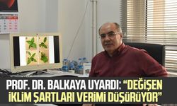 Samsun'da Prof. Dr. Ahmet Balkaya uyardı: “Değişen iklim şartları tarımsal üretimde verimi düşürüyor”