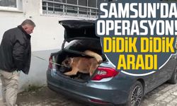 Samsun'da operasyon! Narkotik dedektör köpeği didik didik aradı
