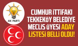 Cumhur ittifakı Tekkeköy Belediye Meclis Üyesi aday listesi belli oldu!