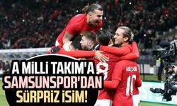 A Milli Takım'a Samsunspor'dan sürpriz isim!