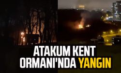 Atakum Kent Ormanı'nda yangın