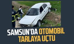 Samsun'da otomobil tarlaya uçtu: 1 yaralı