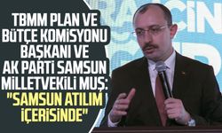 TBMM Plan ve Bütçe Komisyonu Başkanı ve AK Parti Samsun Milletvekili Mehmet Muş: "Samsun atılım içerisinde"