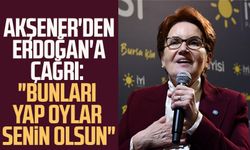 Meral Akşener'den Cumhurbaşkanı Erdoğan'a çağrı: "Bunları yap oylar senin olsun"