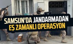 Samsun'da jandarmadan eş zamanlı operasyon: 2 gözaltı