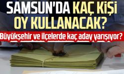 31 Mart yerel seçimlerinde Samsun'da kaç kişi oy kullanacak? YSK açıkladı