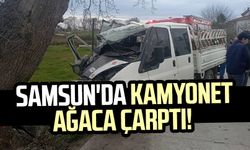 Samsun'da kamyonet ağaca çarptı!