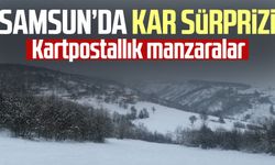 Samsun'da Mart'ta kar sürprizi! Beyaz örtüyle kaplandı