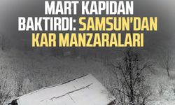 Mart kapıdan baktırdı: Samsun'da kar yağışı etkili oldu