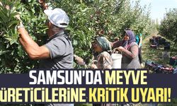 Samsun'da meyve üreticilerine kritik uyarı!