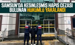 Samsun'da kesinleşmiş hapis cezası bulunan hükümlü yakalandı