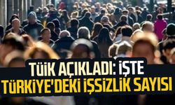 TÜİK açıkladı: İşte Türkiye'deki işsizlik sayısı