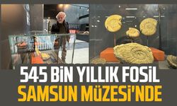 545 bin yıllık fosil Samsun Müzesi'nde